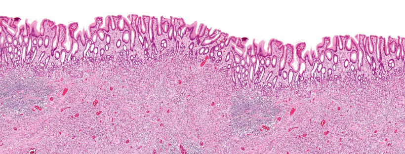 Pathology laboratory heading