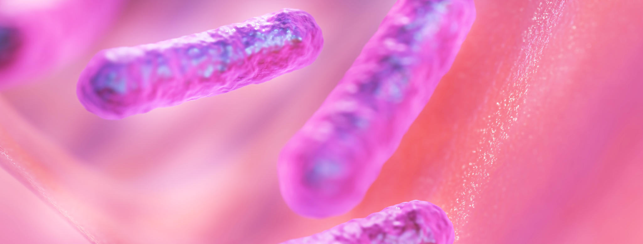 Blog header for SIBO small intestine bacterial overgrowth